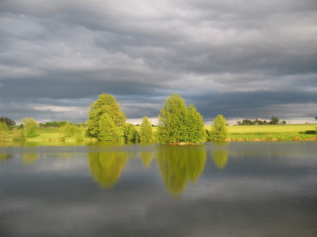 Oberer Premenreuther Weiher by Dieter Gick