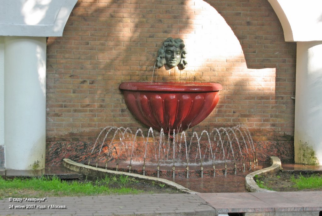 The garden "Aquarium". - Moscow. Russia. by Alexander Kornelyuk