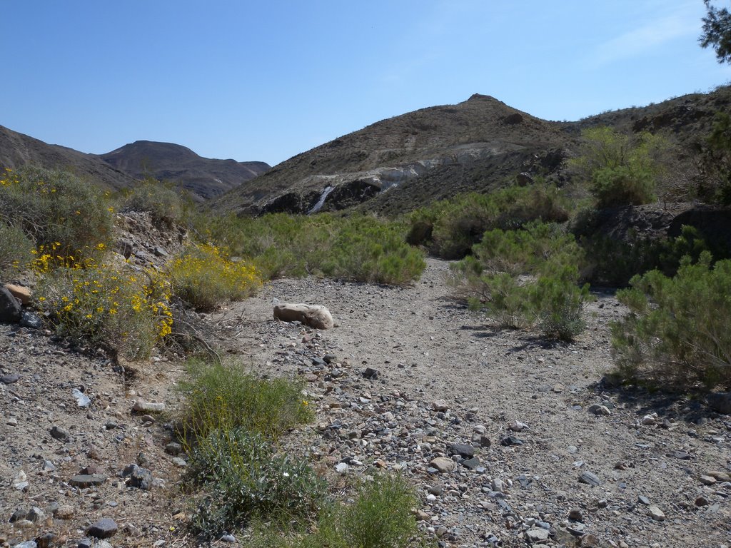 Death Valley, CA, USA by yubertenator