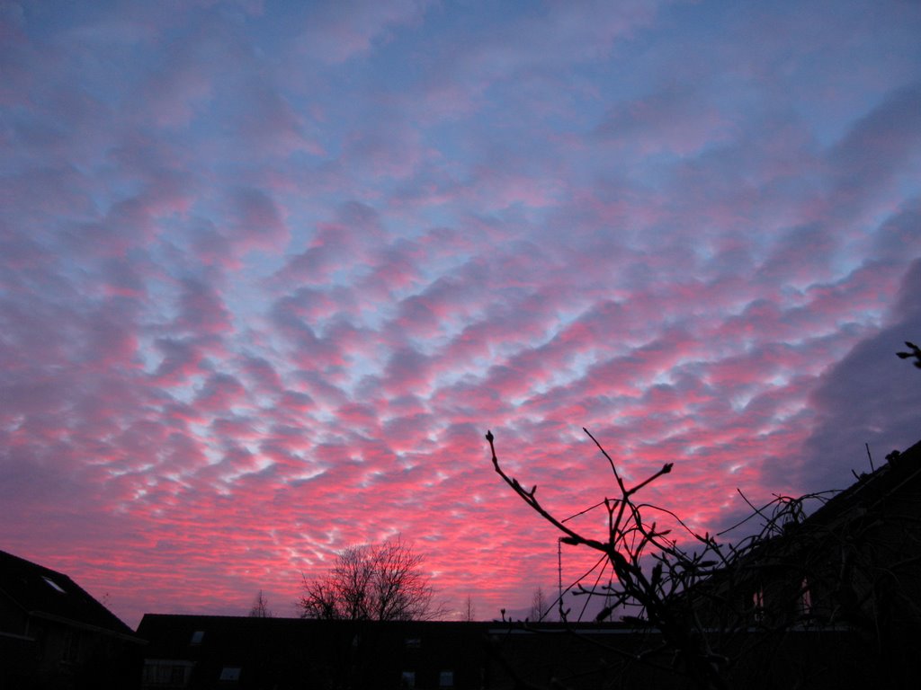 Sunset, NL by M.Kranenborg-Torn