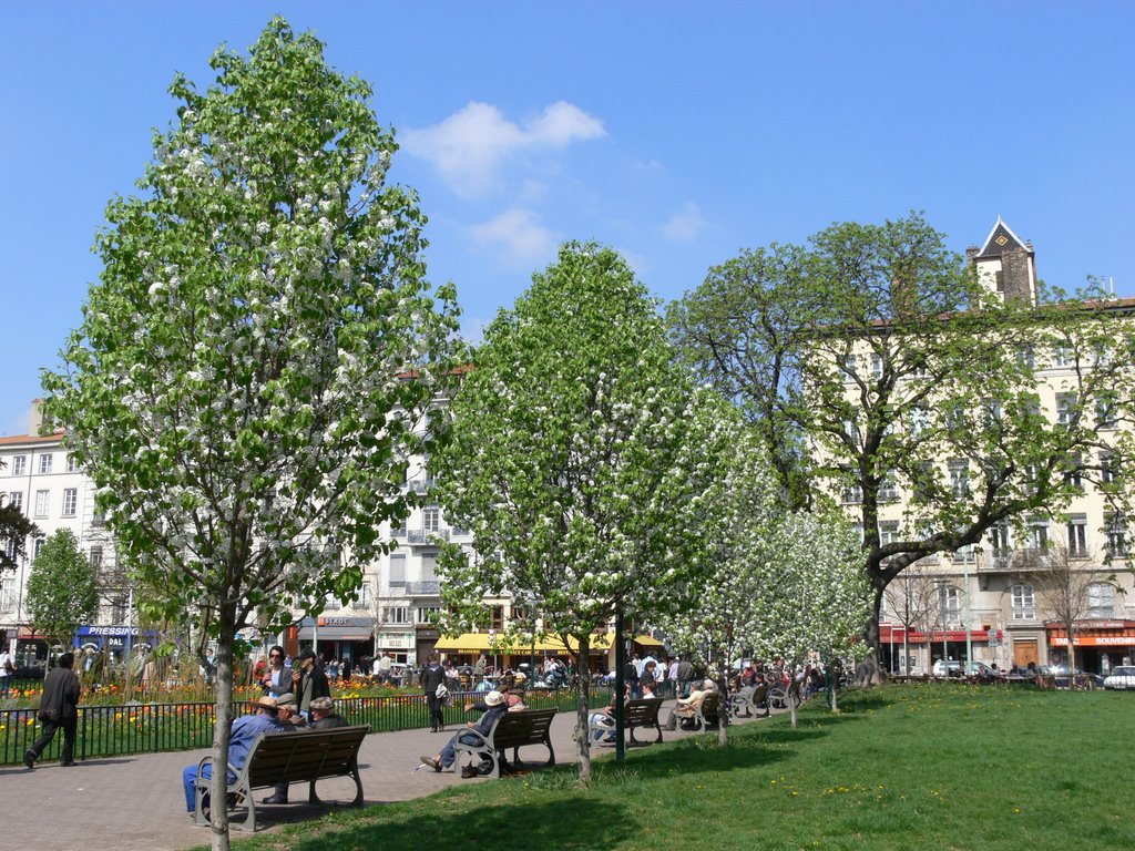 Lyon - Printemps (Place Carnot (Rhône)) by Naru Kenji