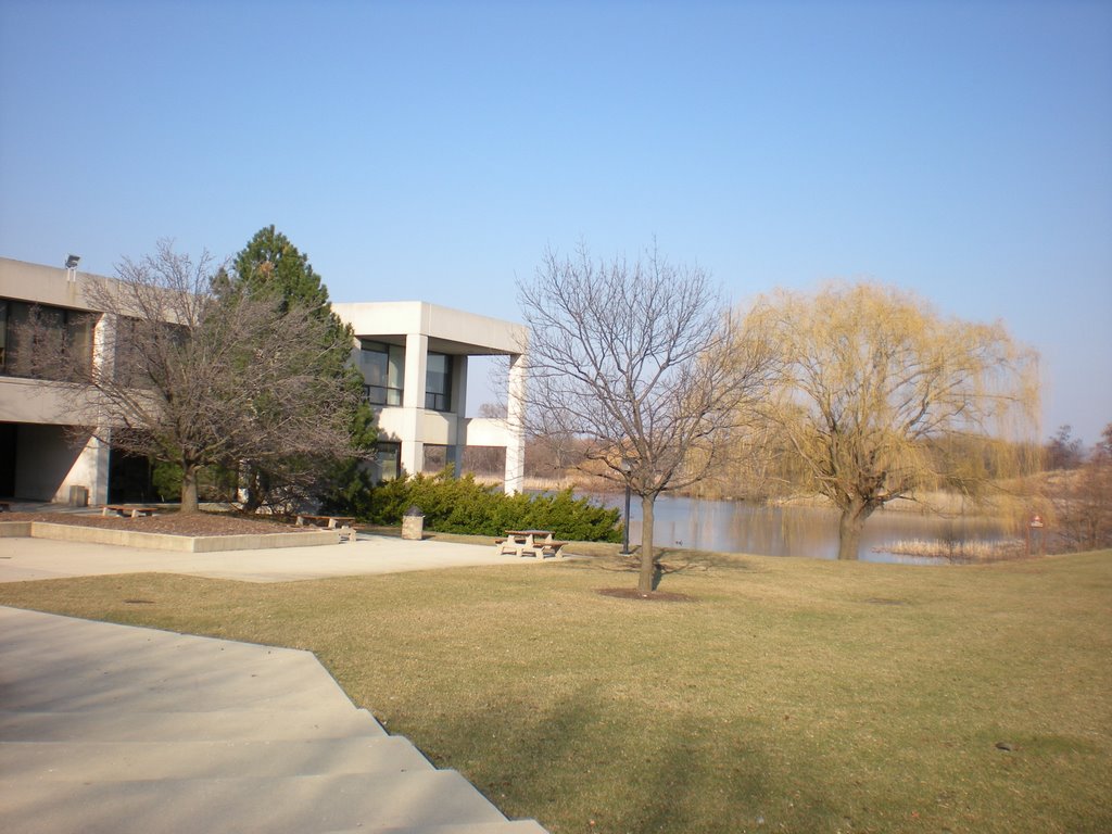 College of DuPage Art Center and Pond by JanaCarnalla