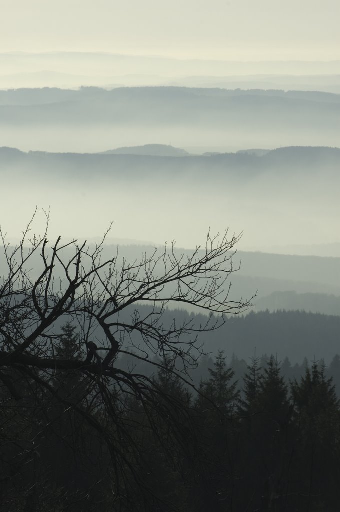 Feldberg, Taunus, fog by Maarten Vreeburg