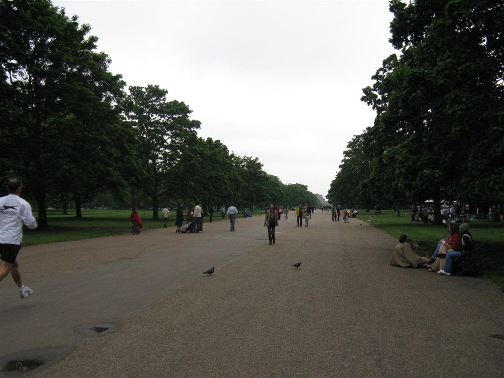 Londra, Kensington Gardens by Nicola Cangioli