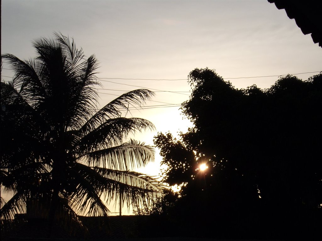 O sol por entre as folhas - maceió by JuliSane