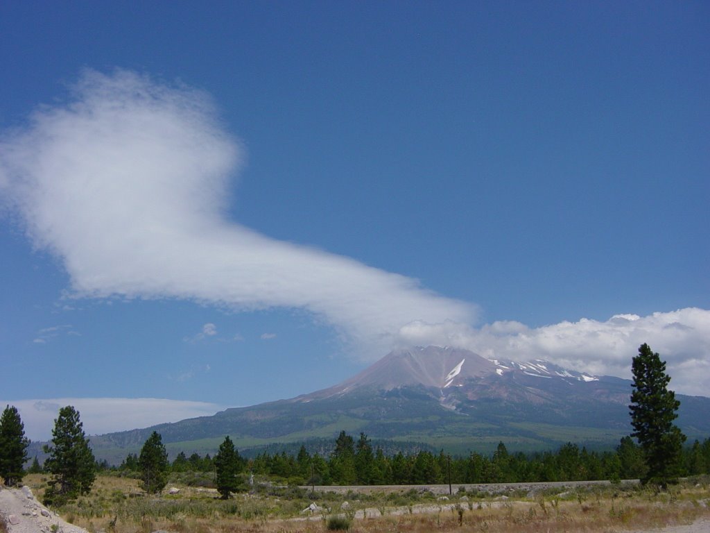 Mt Shasta vu de Weed by dede1450