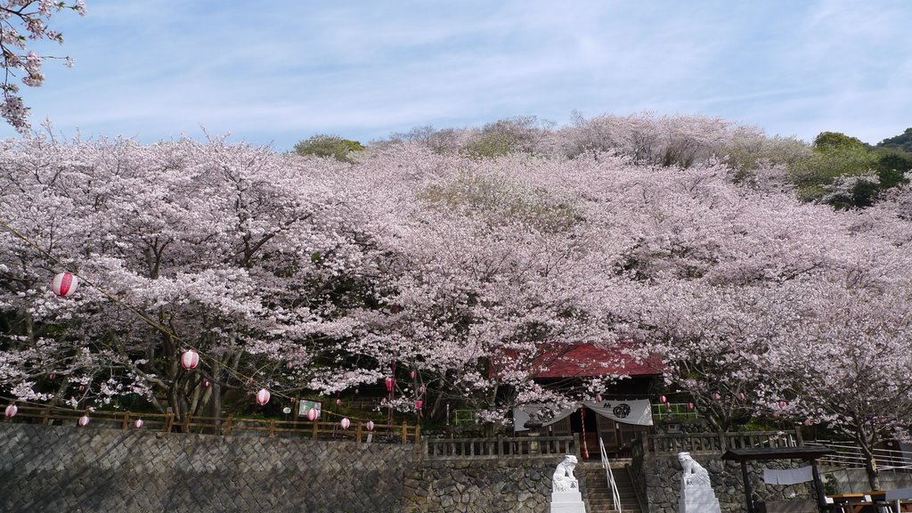 3 Chome Kanbara, Shimizu-ku, Shizuoka-shi, Shizuoka-ken 421-3203, Japan by 春田雅之