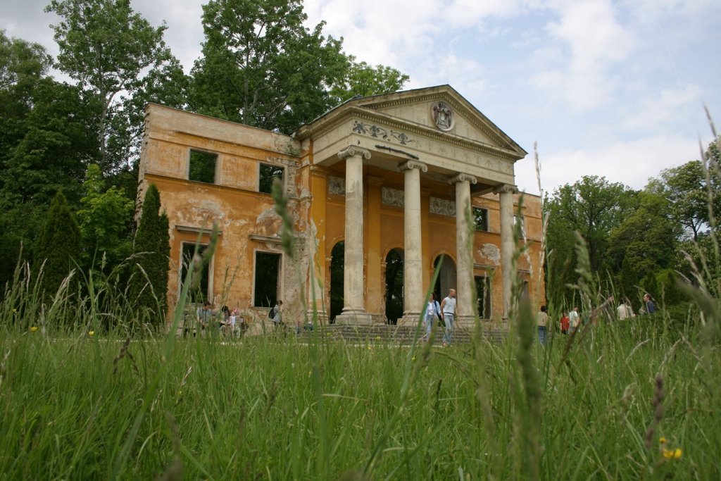 Timpanon from grass level, Alcsútdobozi arboretum, Hungary by MBagyinszky