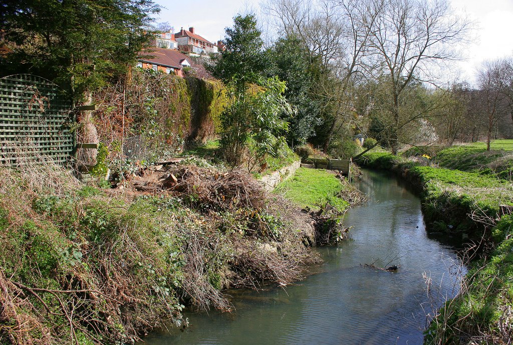 River Yeo by Donald Gray