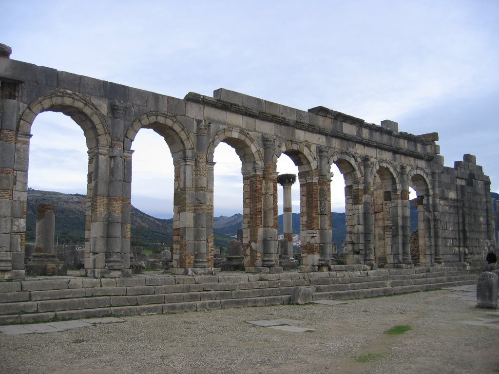 Volubilis by michbab