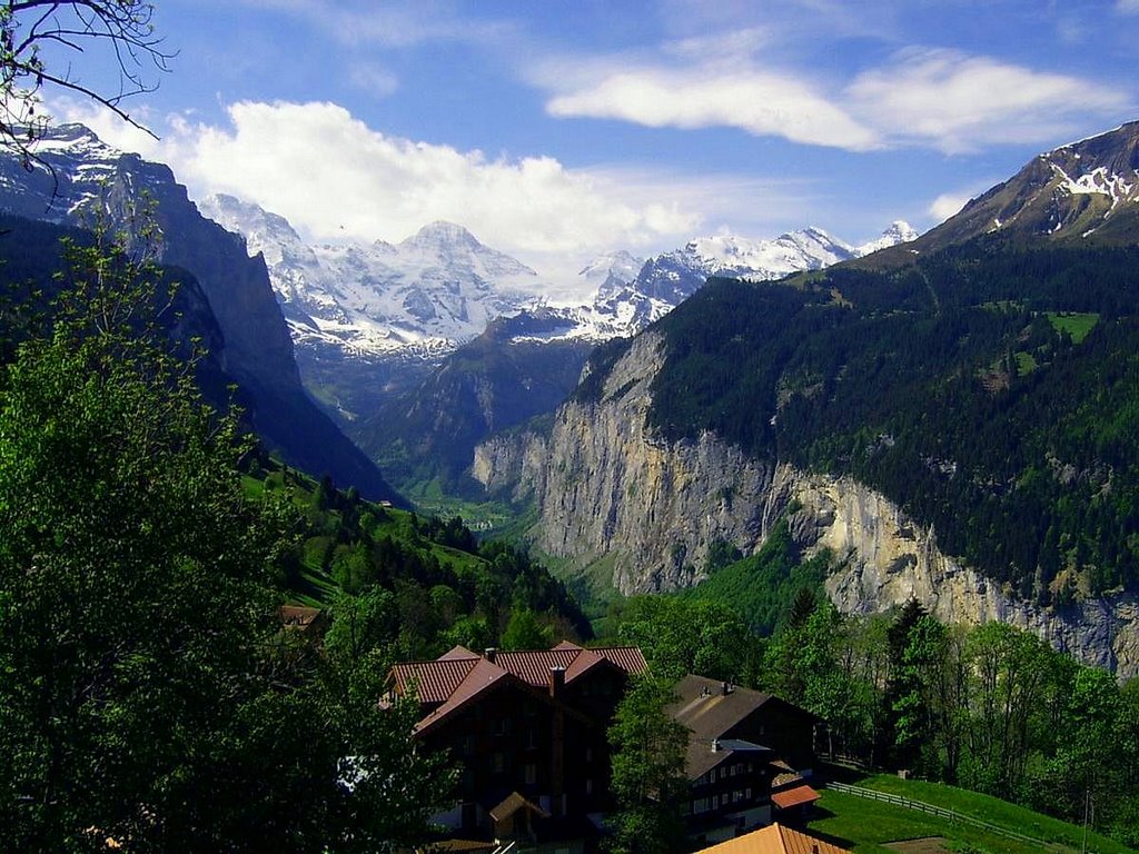 Lauterbrunnen Valley is from Wengen by ringwoodit