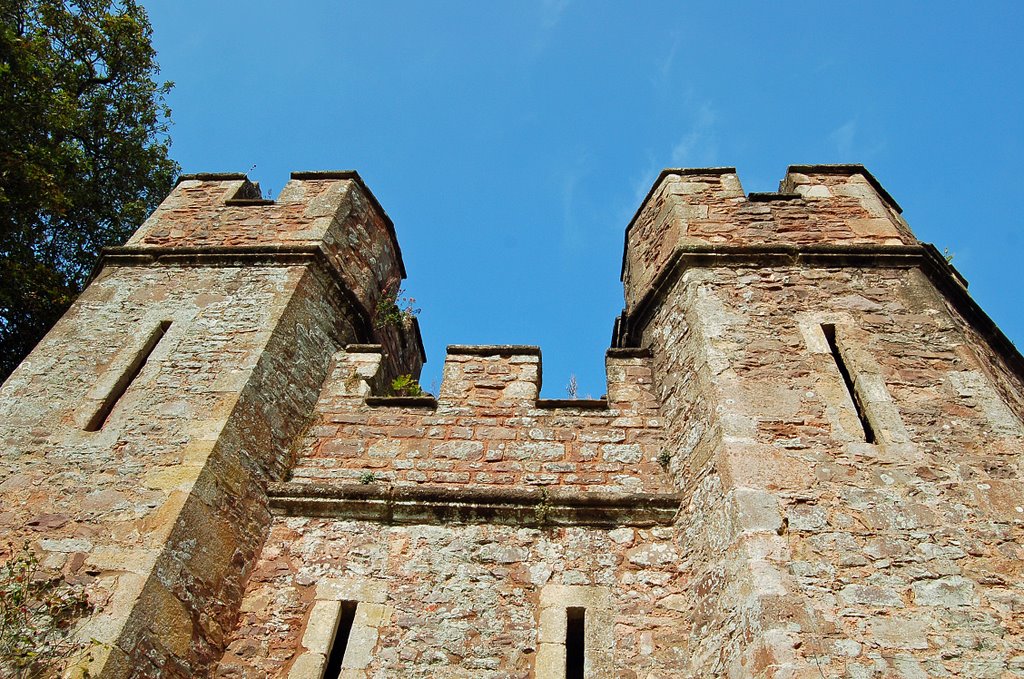 Dunster Castle by JohnBe