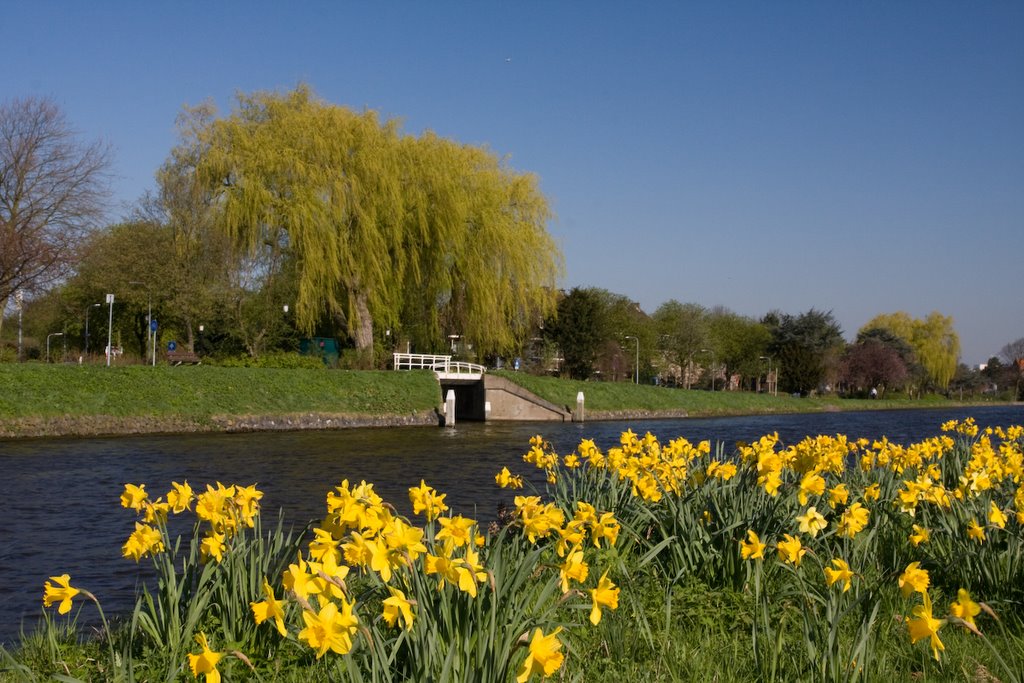 Lente in Rijswijk by ronaldgroenimages