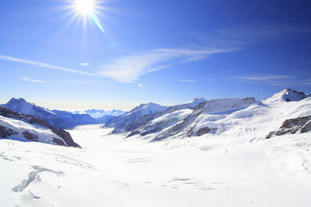 Near Sphinx (3454 m): View to Aletsch Glacier by Herr Sonstiges