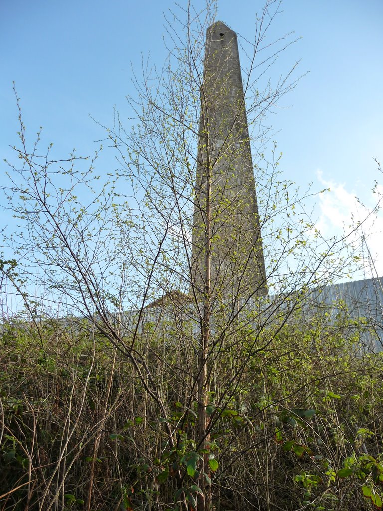 Blackdown Hills : The Wellington Monument by A Photographer