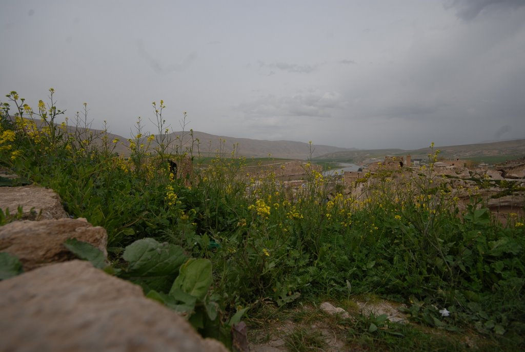 Hasankeyf Batman Turkey by Kafadengi Hüseyin