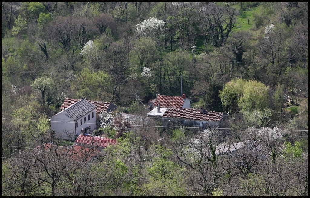 Drivenik 10.04.2009. 9 Prema zapisima Dragutina Hirca Vinodolska je dolina 1891. godine brojala šezdesetak sela i zaselaka s negdje oko 12 tisuća duša. Neki je vole podijeliti u četiri dijela – dio od Malog Dola do Drivenika, potom Veliko polje koje se izdiže prema Benićima, pa Bribirski kraj i napokon predio od Bribira do Novog. by Vladimir Tkalčić