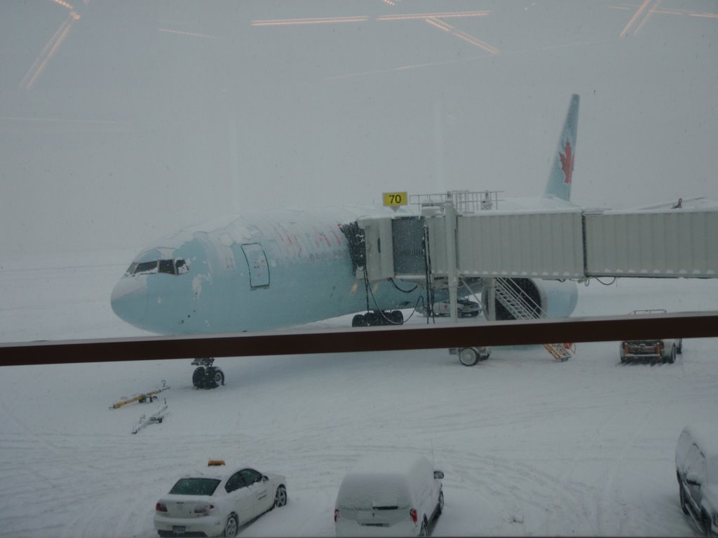 What we look forward to on vacation...SNOW! by RaneFlight