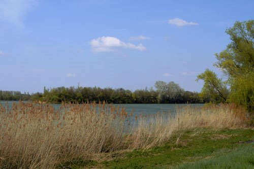 La Saône by sagimage