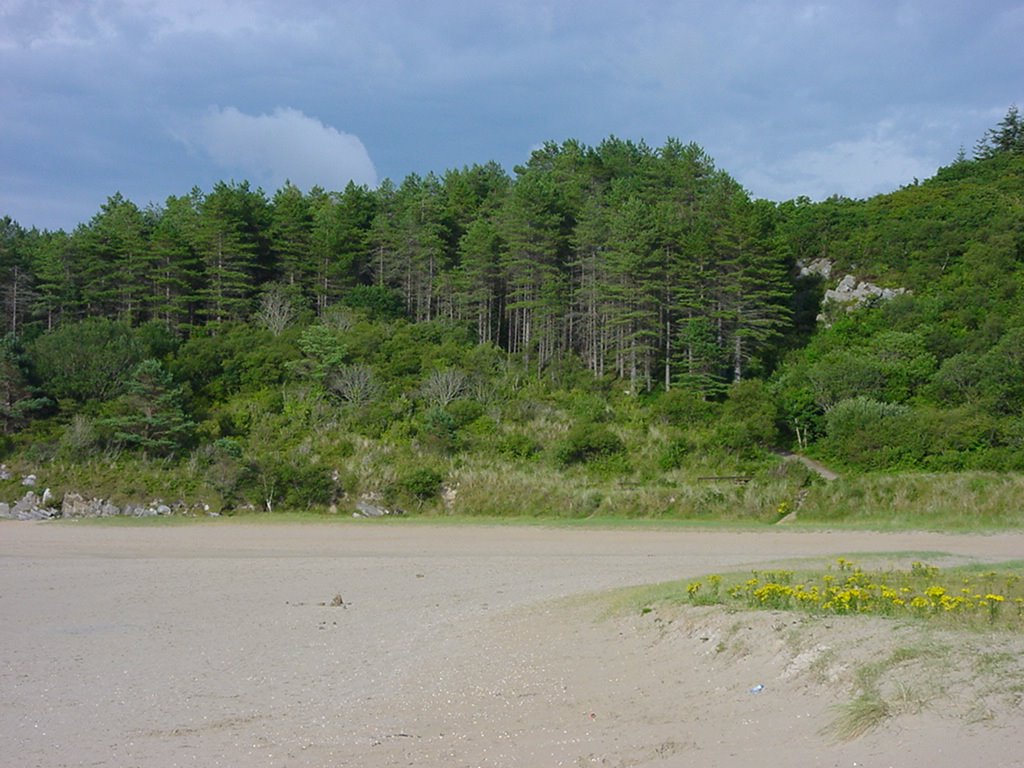 Ards Forest Park by Alistair Cunningham