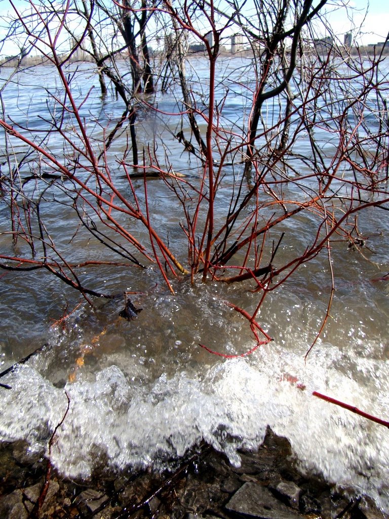 Ottawa river, spring flood by D Light