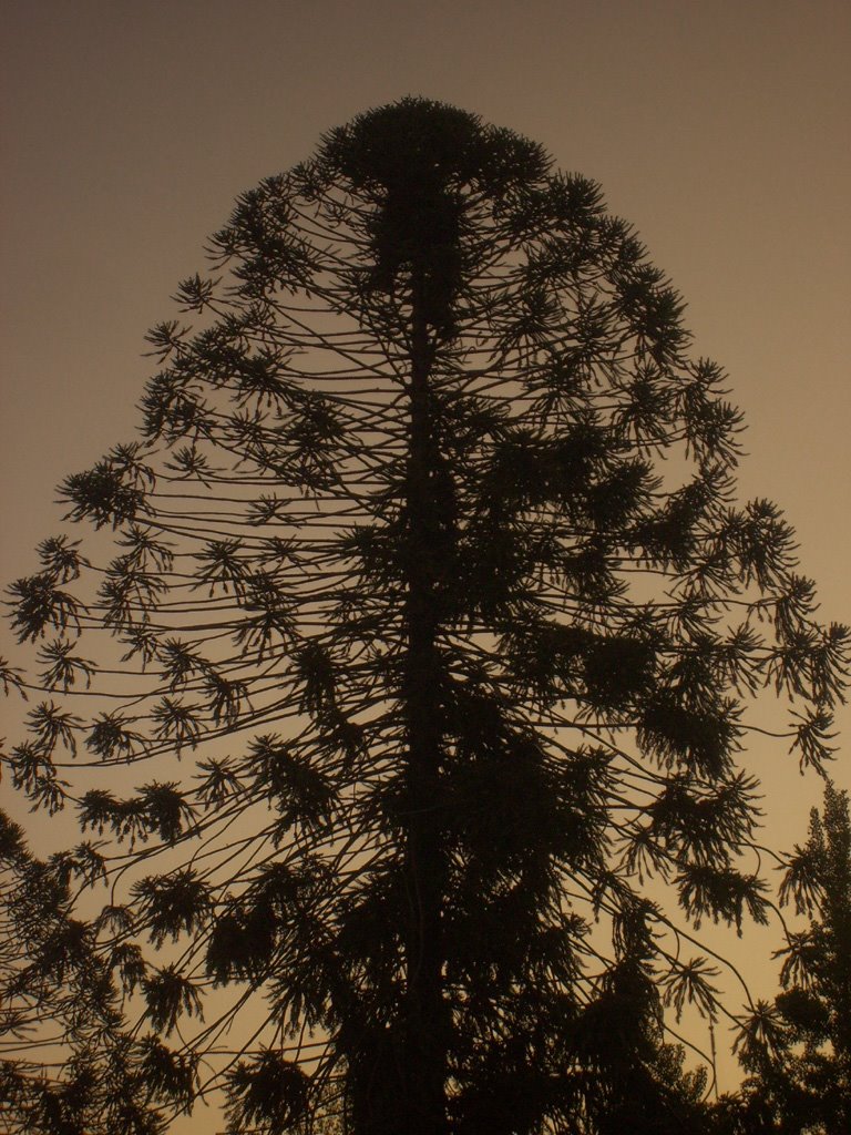 Parque de las Esculturas by Jorge Barrios