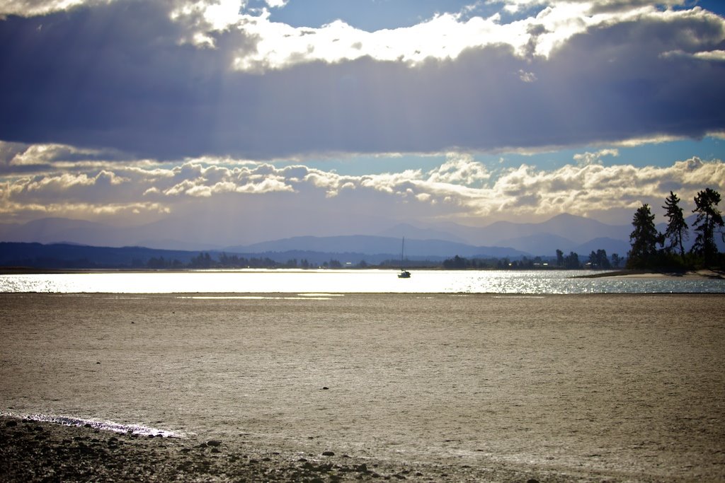 Nelson low tide by Tim Barrett