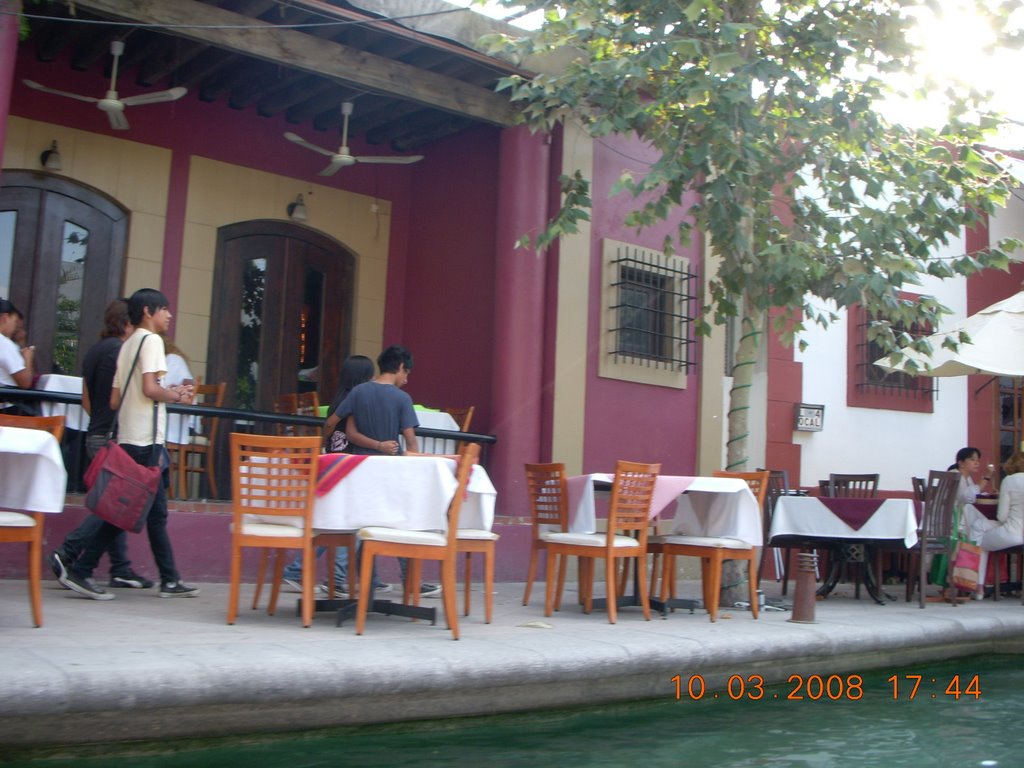 Cafe a orilla de paseo santa lucia by rosalvasalinas