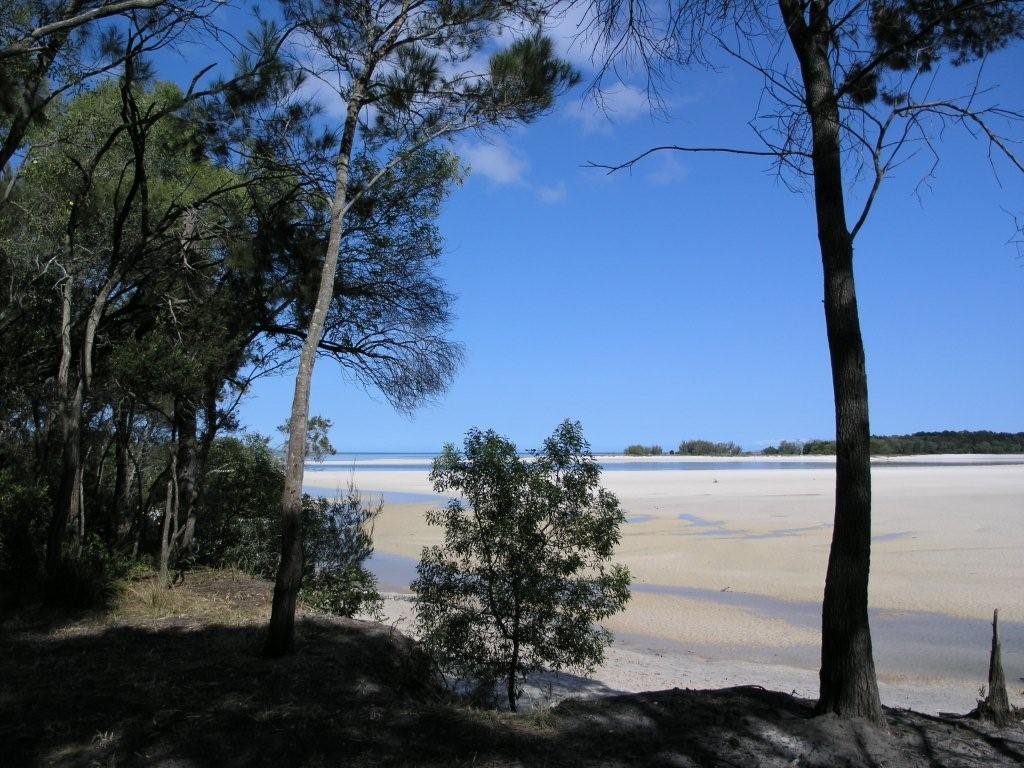 Platypus Bay by WayneParker