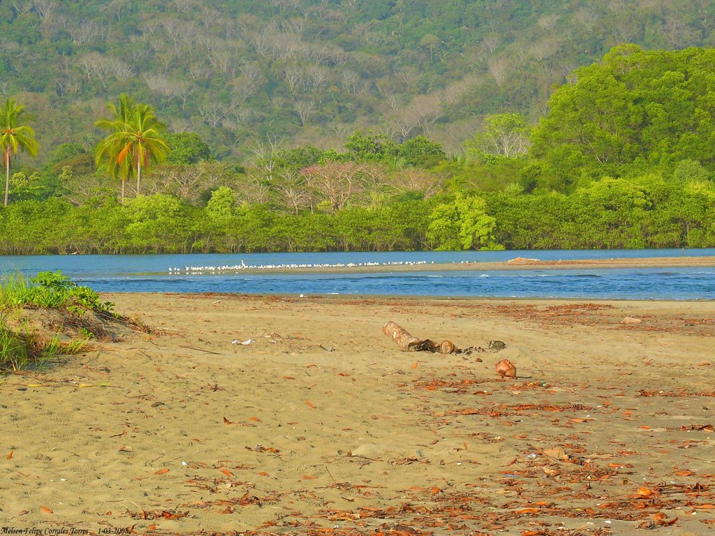 Estero de playa San Miguel ( Jabilla ) Guanacaste, Costa Rica by Melsen Felipe