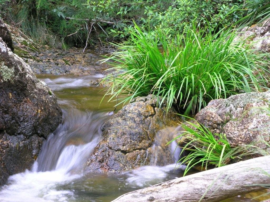 Boundary Creek by WayneParker