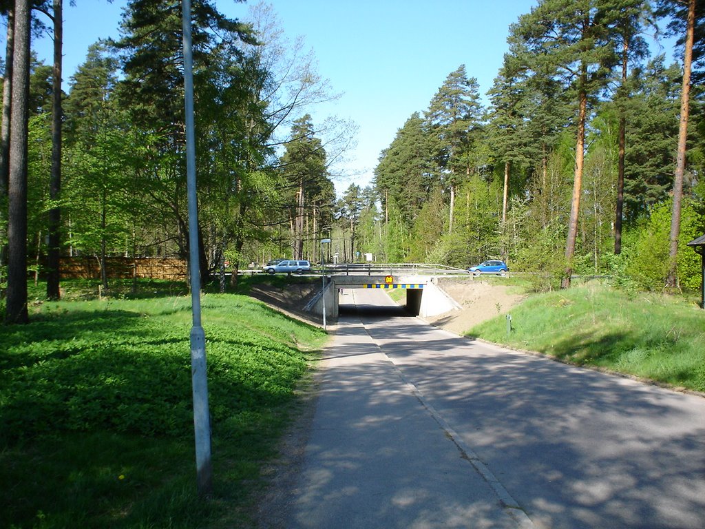 Rydskogen/Stenbrötsgatan by Magnus Brage