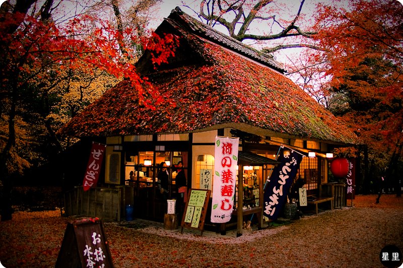 Nara Park tea house, autumn colours by hoshisato