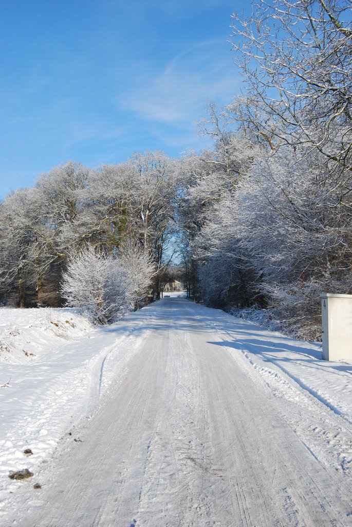 Winter by M.F. Naaldenberg