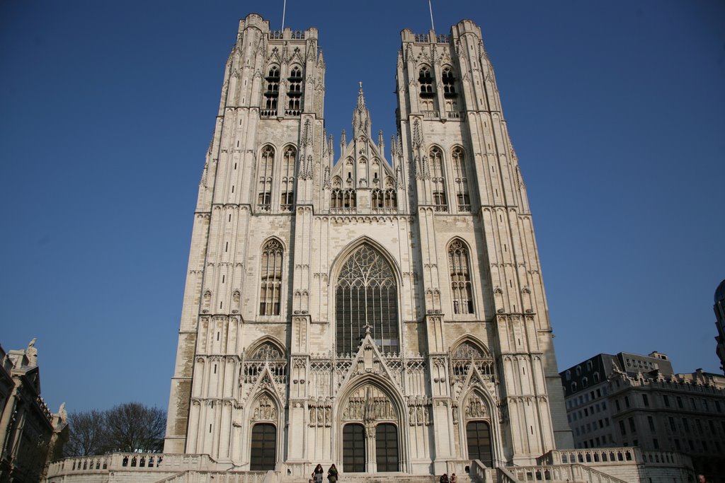 Kathedraal van Sint-Michiel en Sint-Goedele, Brussel, België by Hans Sterkendries