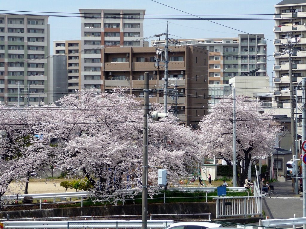 勝川南公園 by h-miz