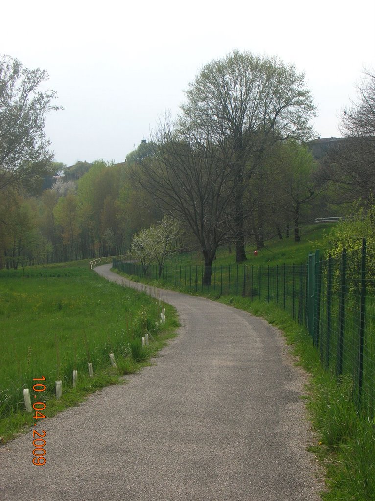 Tutte le Strade portano a Te by Laura Bertoni