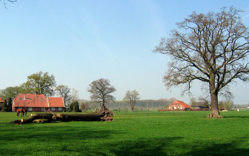 Weldam Luizen-en Vlooienbelt by Arie Bakker