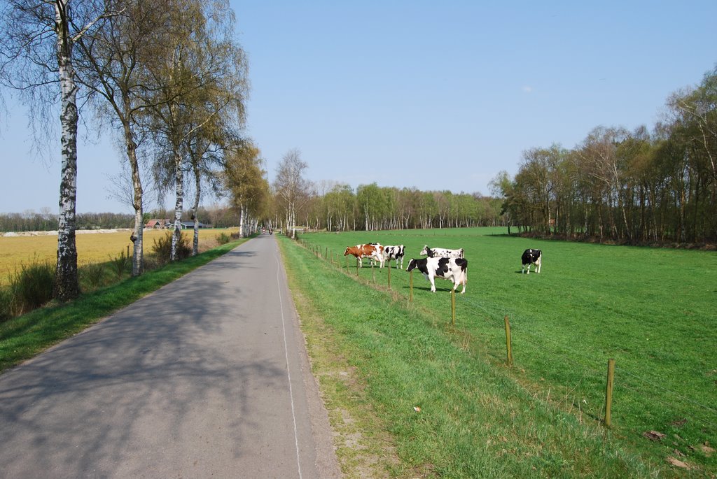 Bekeringweg by naaldenberg