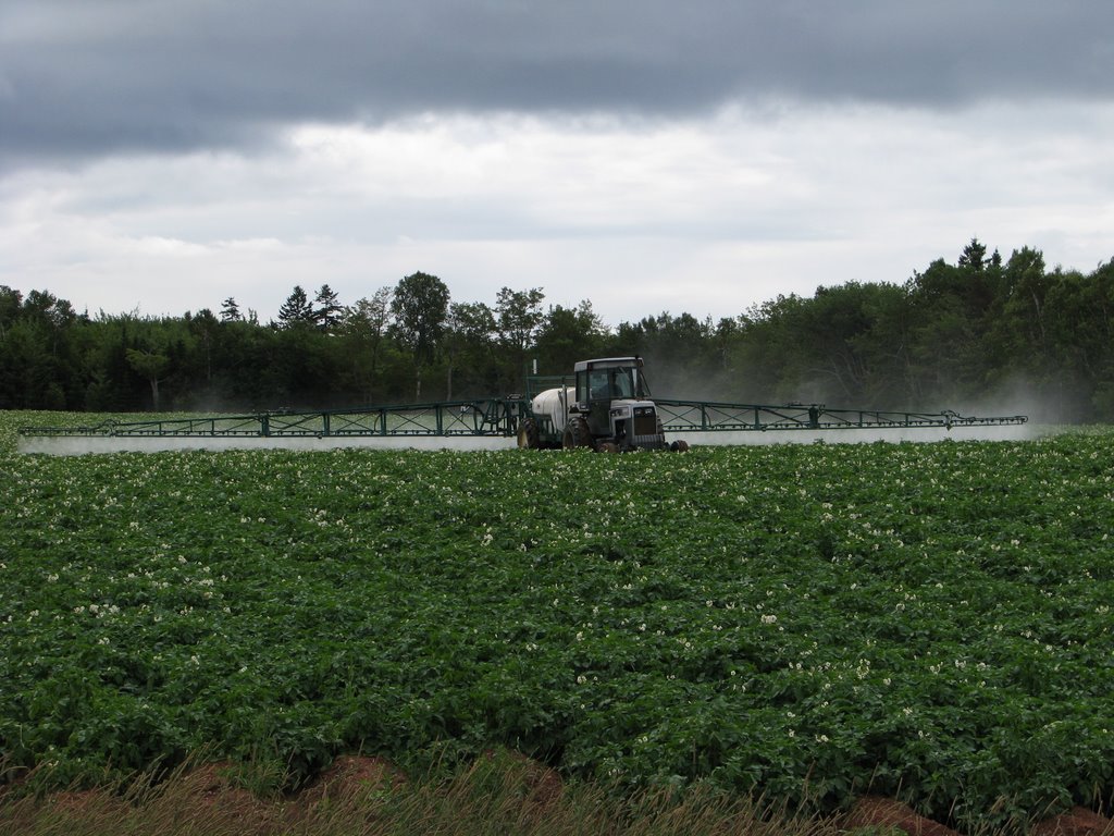 Potato farmer by Mr Ken...