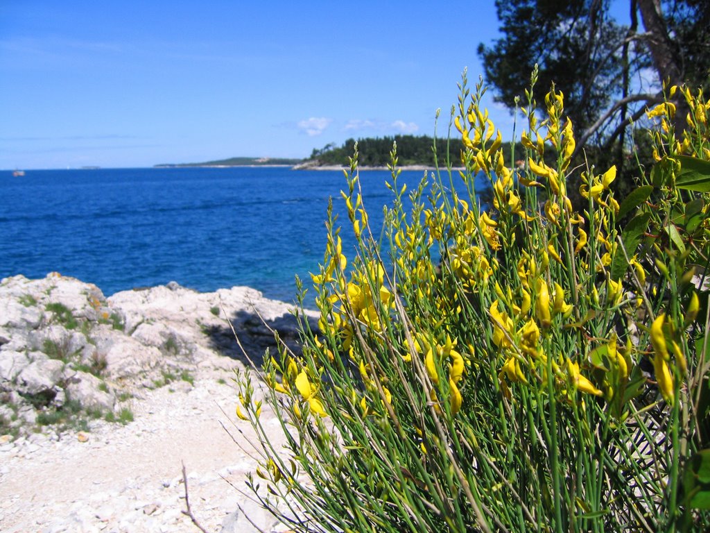 Rovinj by Rolf E. Stærk