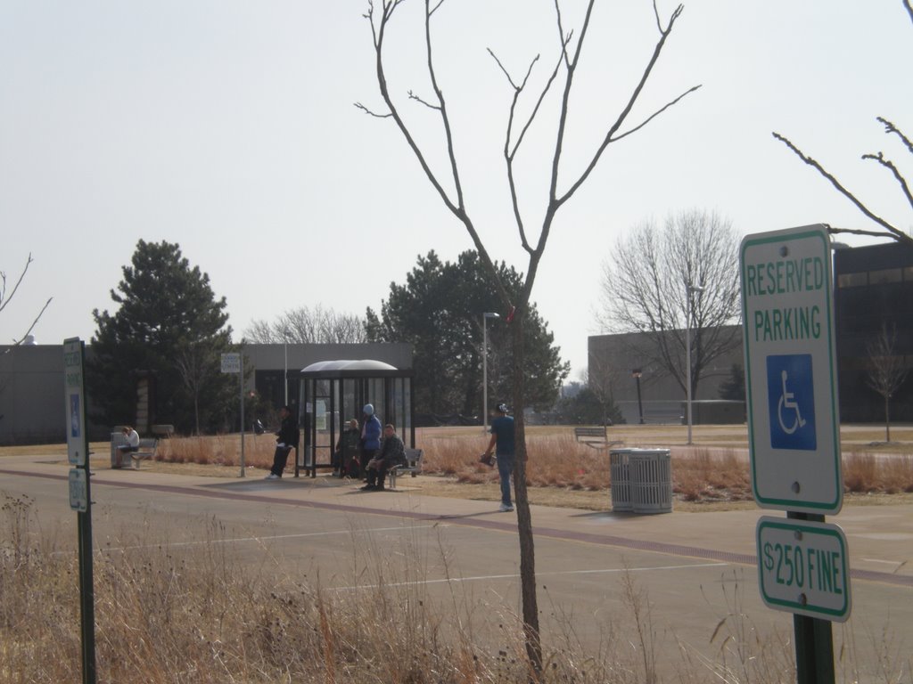 PACE Bus stop on campus, taking note of the trash receptacle and benches by nyenhuis.rachel.4071