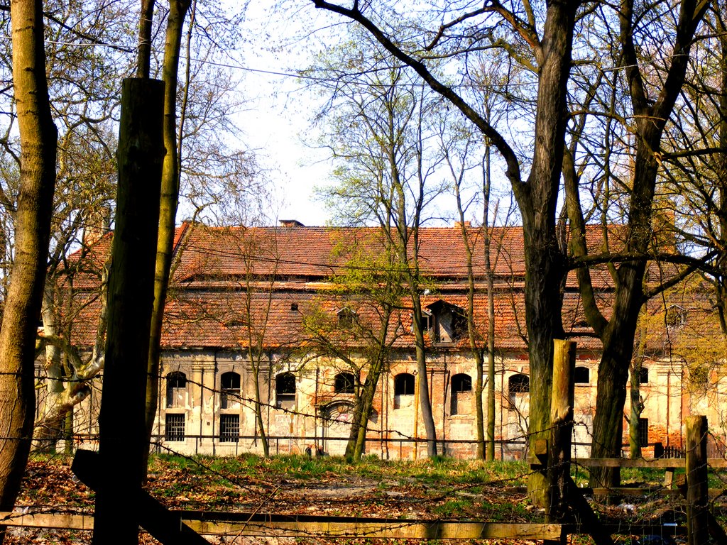 Chocianów miasteczko gminne w powiecie Polkowickim.Widok bydynku w którym mieściła się rozlewnia piwa w latach 50-tych w Chocianowie-2009r by Andrzej Brudziński