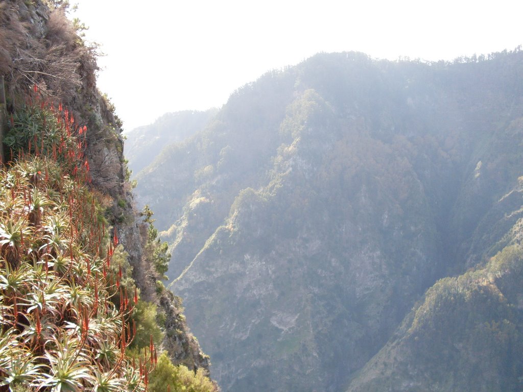 EIRA DO SERRADO - MADEIRA by cquaresma