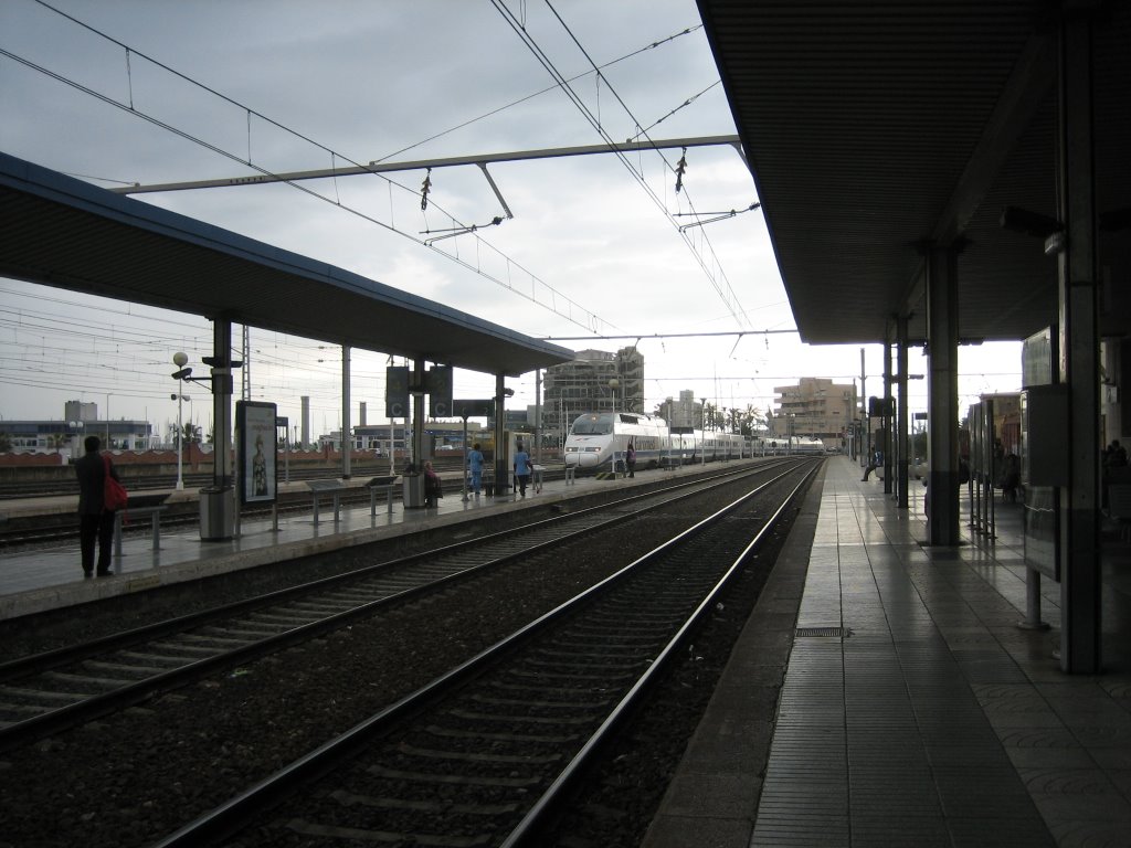 EStación de Tarragona by Txemant