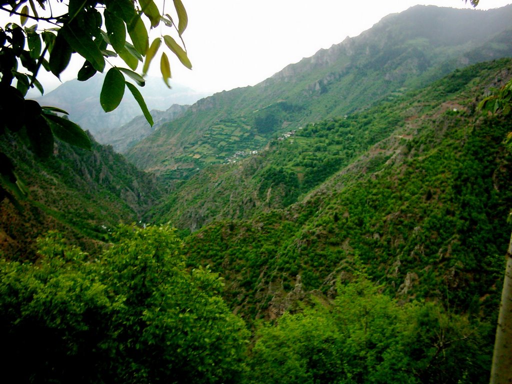 Turkey>Artvin>Yusufeli>Dokumacılar by Ahmet Semen