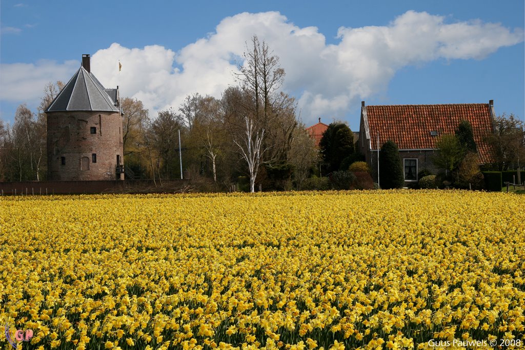 Kasteeltoren d'ever, lisse by guuspauwels