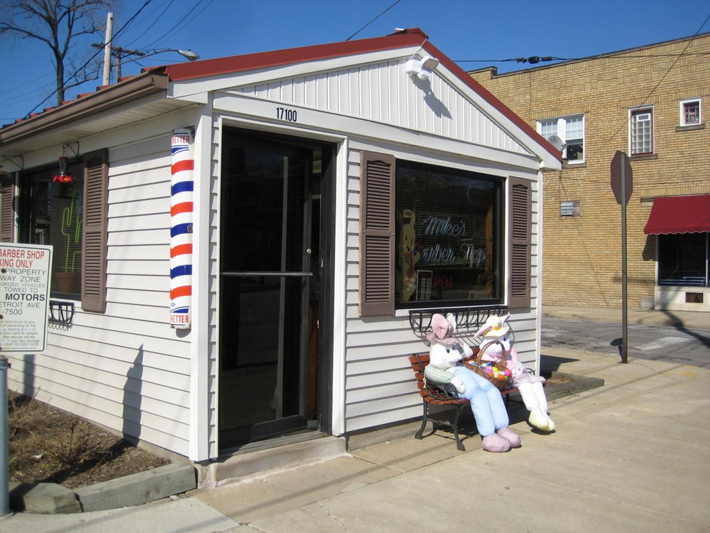 Barber shop by wood7