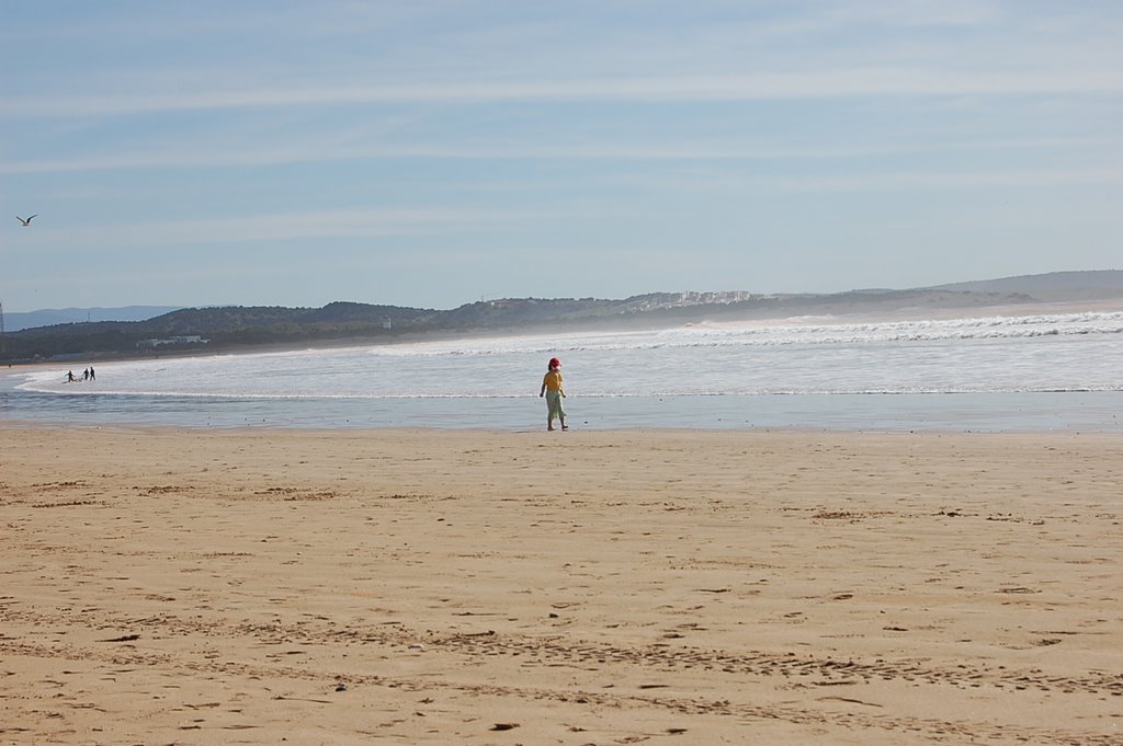 Essaouira beach by Roland Kalinay