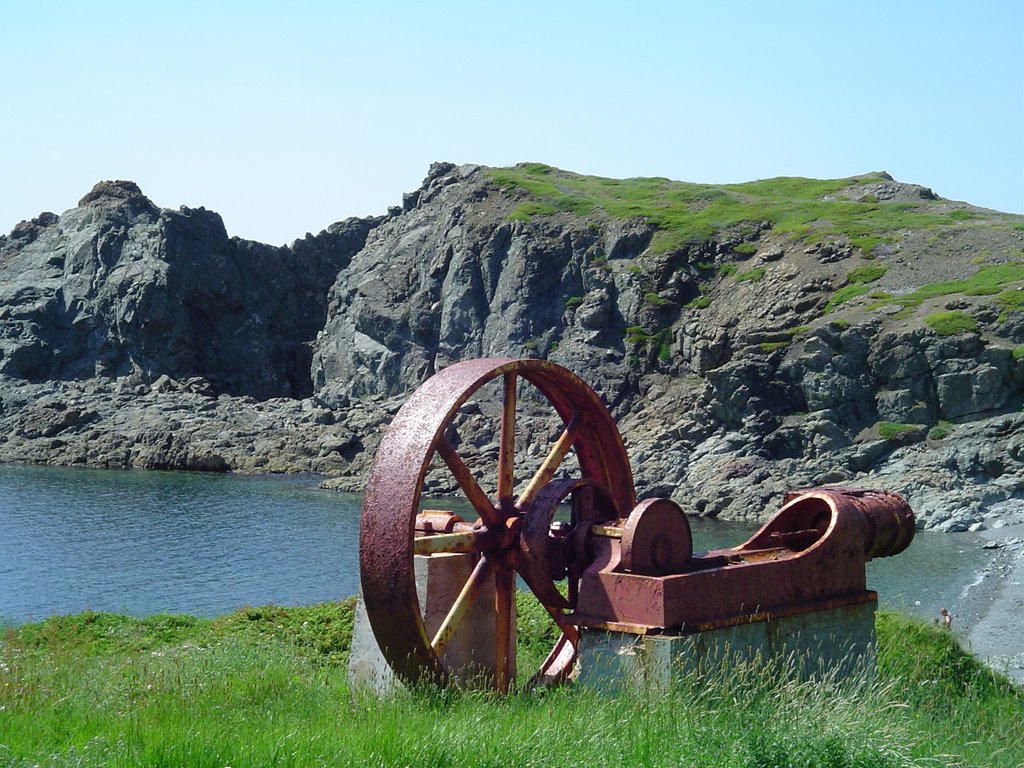 Near Twillingate, NL by daveleyden